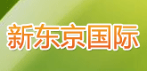 新东京国际货运