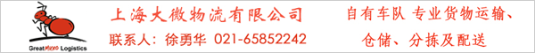 上海大微