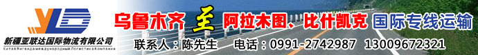 新疆亚联达国际物流有限公司