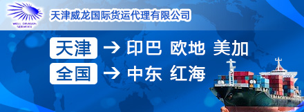 天津威龙国际